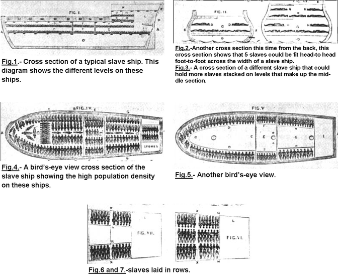 These are major sections of a typical slave ship.